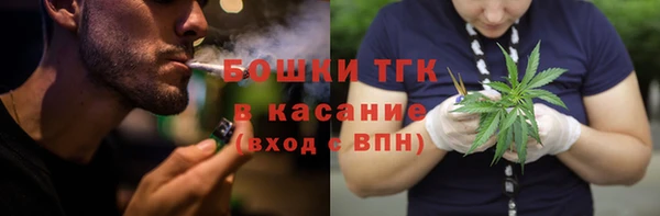 гидра Алексин