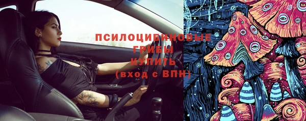 прущие грибы Алексеевка