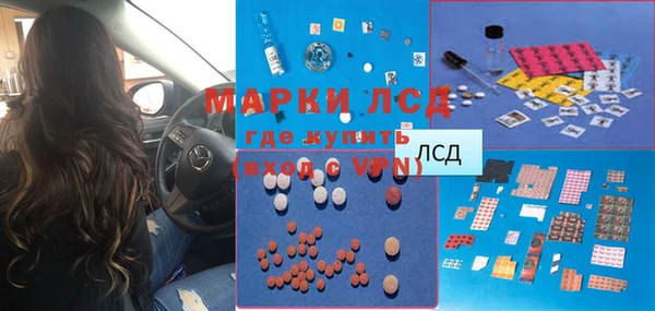 прущие грибы Алексеевка